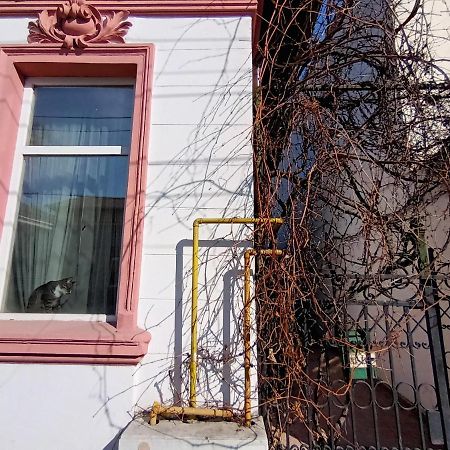 Casa Liveni Bucareste Exterior foto