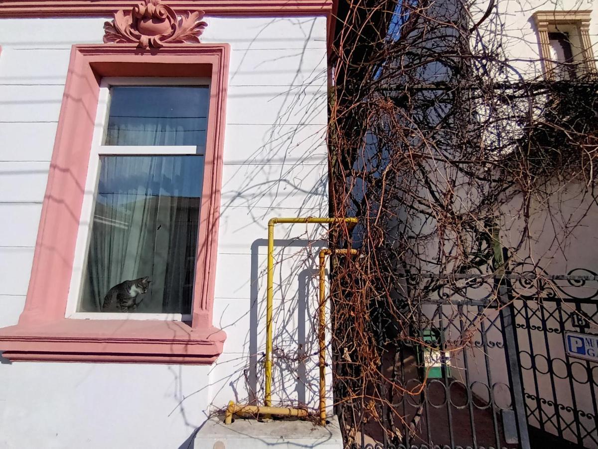 Casa Liveni Bucareste Exterior foto